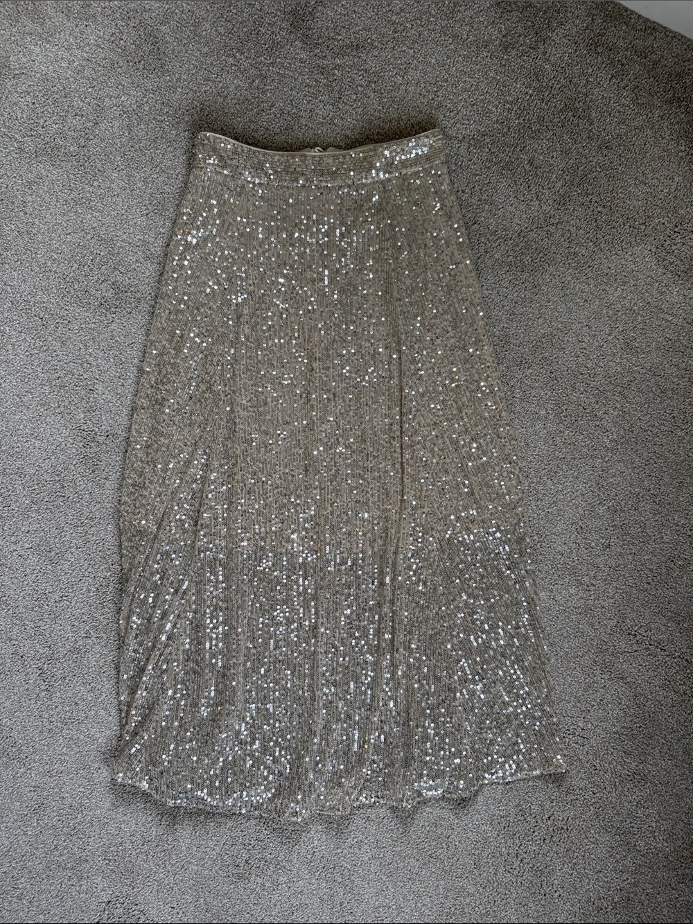 H&M Sequined Maxi Skirt